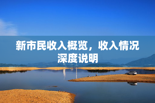 新市民收入概览，收入情况深度说明