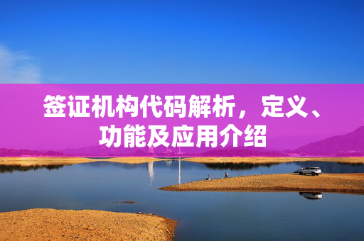 签证机构代码解析，定义、功能及应用介绍