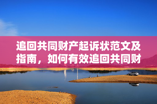 追回共同财产起诉状范文及指南，如何有效追回共同财产纠纷案件？