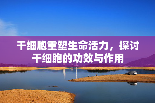 干细胞重塑生命活力，探讨干细胞的功效与作用