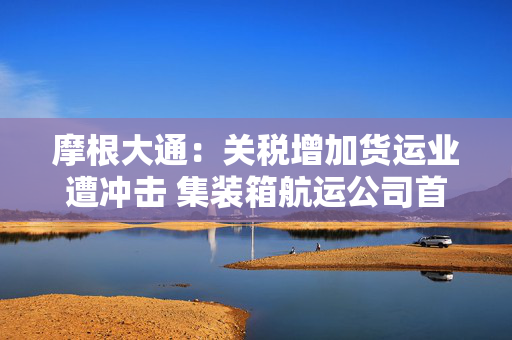 摩根大通：关税增加货运业遭冲击 集装箱航运公司首当其冲