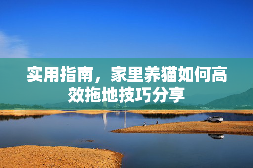 实用指南，家里养猫如何高效拖地技巧分享