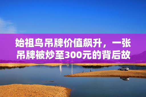 始祖鸟吊牌价值飙升，一张吊牌被炒至300元的背后故事