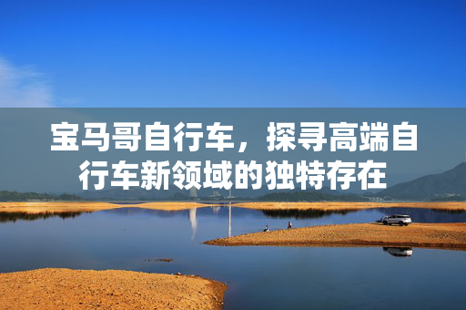 宝马哥自行车，探寻高端自行车新领域的独特存在