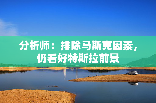 分析师：排除马斯克因素，仍看好特斯拉前景