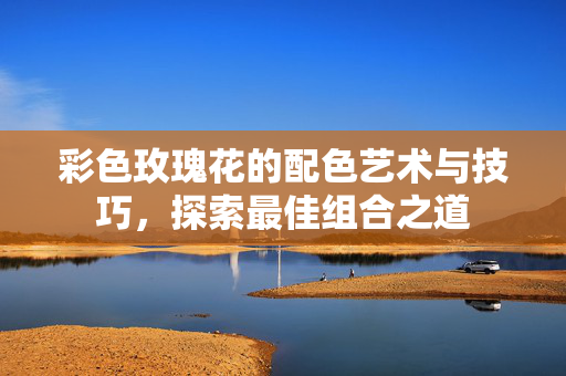 彩色玫瑰花的配色艺术与技巧，探索最佳组合之道