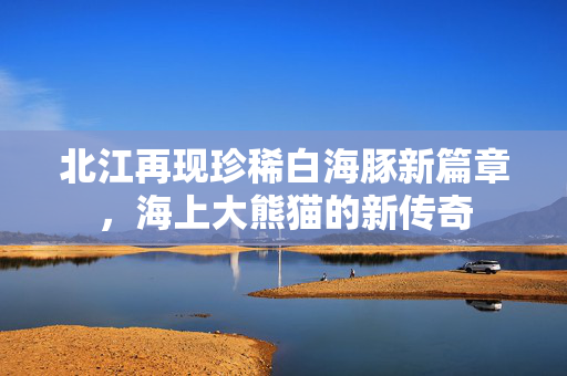 北江再现珍稀白海豚新篇章，海上大熊猫的新传奇