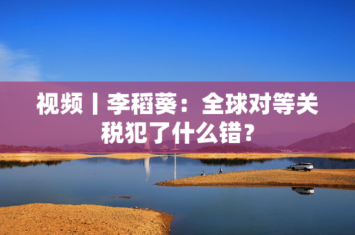 视频丨李稻葵：全球对等关税犯了什么错？