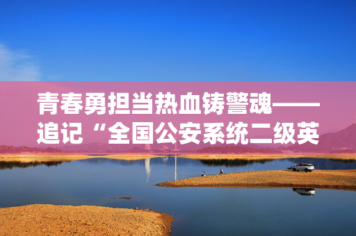 青春勇担当热血铸警魂——追记“全国公安系统二级英雄模范”武霖