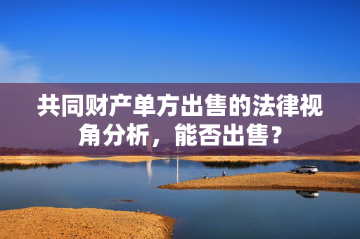共同财产单方出售的法律视角分析，能否出售？