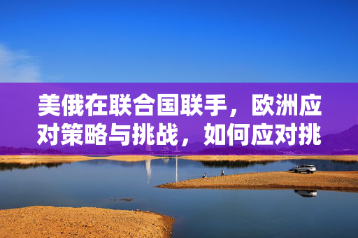 美俄在联合国联手，欧洲应对策略与挑战，如何应对挑战？