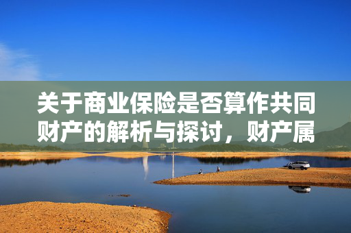 关于商业保险是否算作共同财产的解析与探讨，财产属性与法律关系探讨