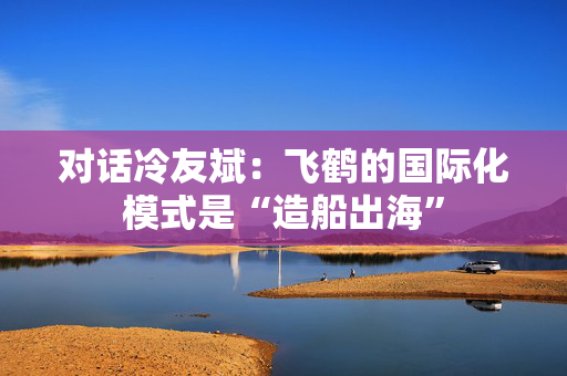 对话冷友斌：飞鹤的国际化模式是“造船出海”