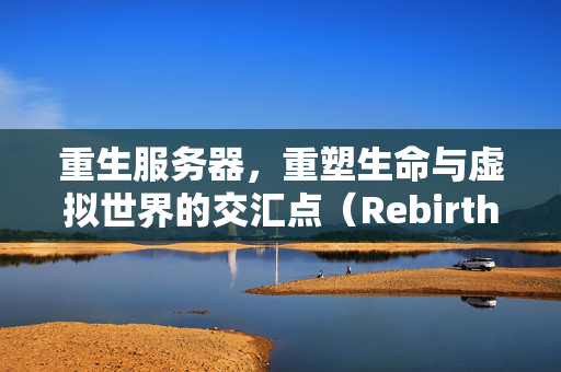 重生服务器，重塑生命与虚拟世界的交汇点（Rebirth Server）