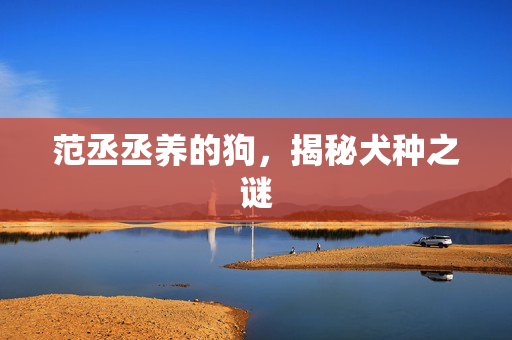 范丞丞养的狗，揭秘犬种之谜