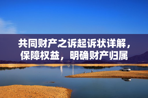 共同财产之诉起诉状详解，保障权益，明确财产归属