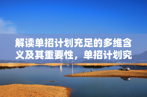 解读单招计划充足的多维含义及其重要性，单招计划究竟意味着什么？