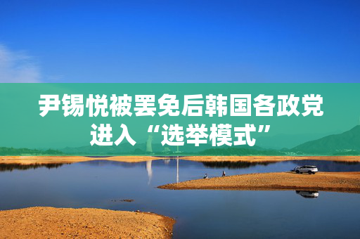 尹锡悦被罢免后韩国各政党进入“选举模式”