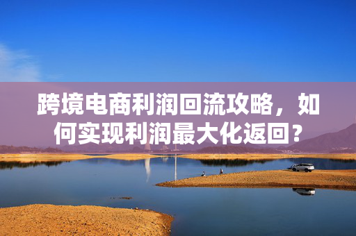 跨境电商利润回流攻略，如何实现利润最大化返回？