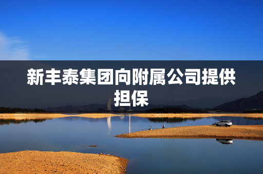 新丰泰集团向附属公司提供担保