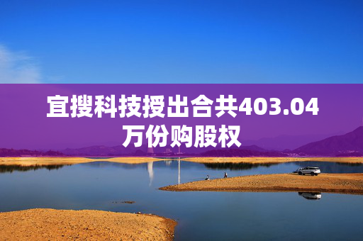 宜搜科技授出合共403.04万份购股权