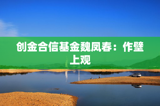 创金合信基金魏凤春：作壁上观