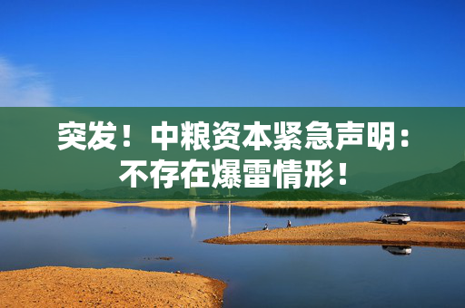 突发！中粮资本紧急声明：不存在爆雷情形！