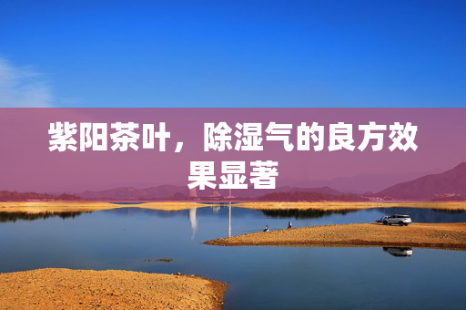 紫阳茶叶，除湿气的良方效果显著
