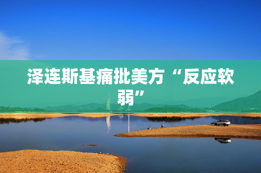 泽连斯基痛批美方“反应软弱”