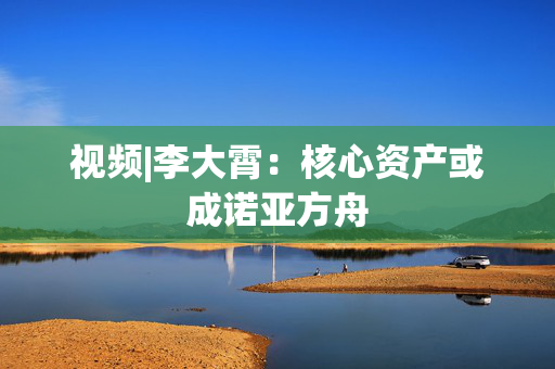 视频|李大霄：核心资产或成诺亚方舟