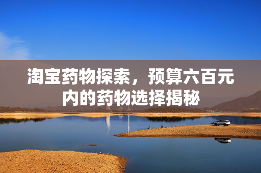淘宝药物探索，预算六百元内的药物选择揭秘