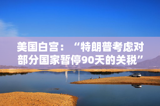 美国白宫：“特朗普考虑对部分国家暂停90天的关税”是假新闻