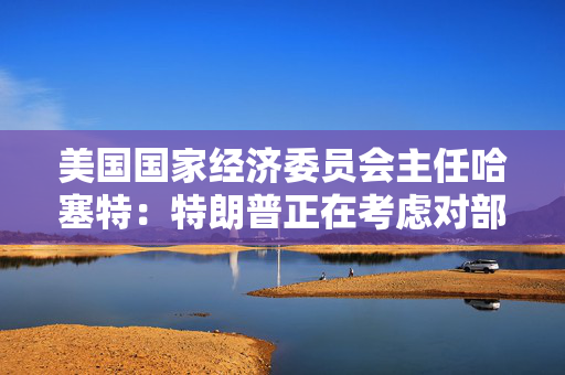 美国国家经济委员会主任哈塞特：特朗普正在考虑对部分国家暂停90天的关税