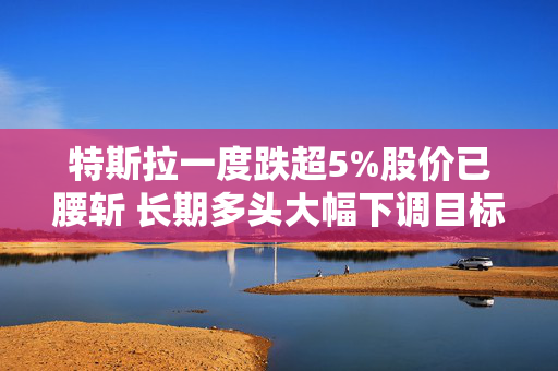 特斯拉一度跌超5%股价已腰斩 长期多头大幅下调目标价
