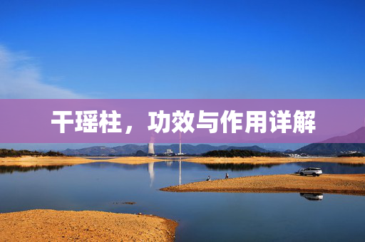 干瑶柱，功效与作用详解