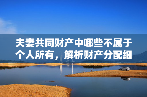 夫妻共同财产中哪些不属于个人所有，解析财产分配细节