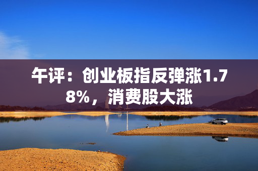 午评：创业板指反弹涨1.78%，消费股大涨