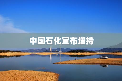 中国石化宣布增持