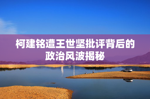 柯建铭遭王世坚批评背后的政治风波揭秘