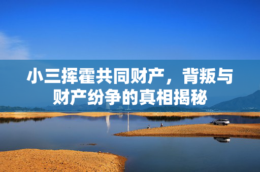 小三挥霍共同财产，背叛与财产纷争的真相揭秘