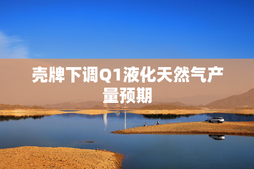 壳牌下调Q1液化天然气产量预期