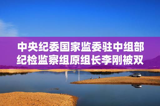 中央纪委国家监委驻中组部纪检监察组原组长李刚被双开