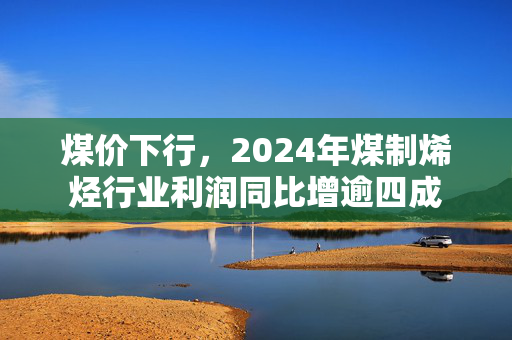煤价下行，2024年煤制烯烃行业利润同比增逾四成