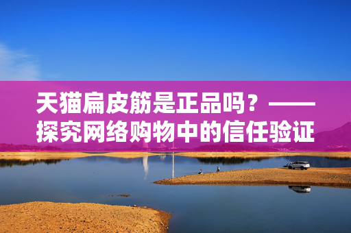 天猫扁皮筋是正品吗？——探究网络购物中的信任验证与真伪识别