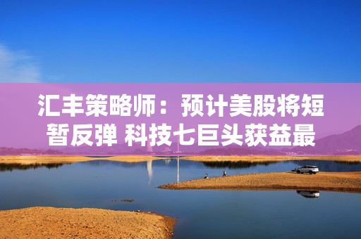 汇丰策略师：预计美股将短暂反弹 科技七巨头获益最多