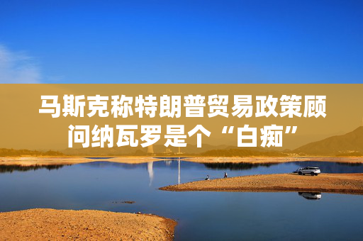 马斯克称特朗普贸易政策顾问纳瓦罗是个“白痴”