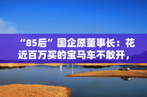 “85后”国企原董事长：花近百万买的宝马车不敢开，罩起来放地下室