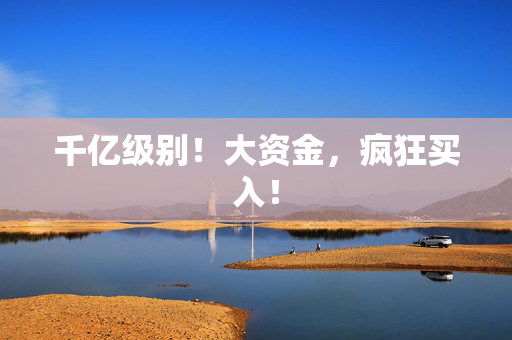 千亿级别！大资金，疯狂买入！