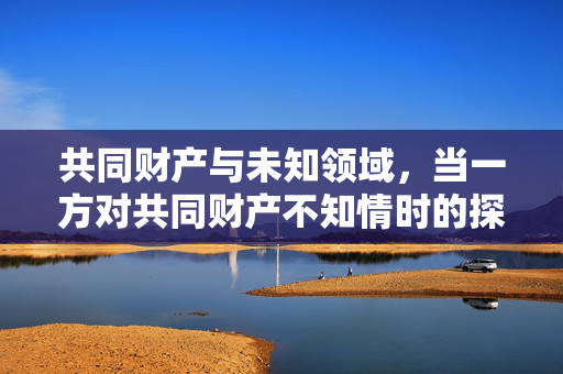 共同财产与未知领域，当一方对共同财产不知情时的探索