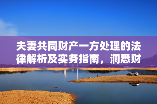 夫妻共同财产一方处理的法律解析及实务指南，洞悉财产处置与权益保障之道
